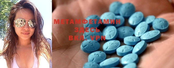 прущие грибы Аркадак