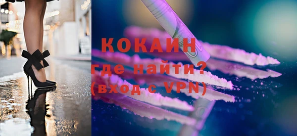 прущие грибы Аркадак
