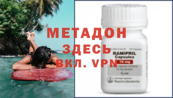 прущие грибы Аркадак
