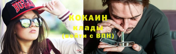 прущие грибы Аркадак
