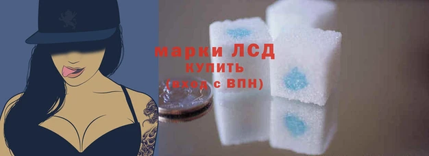 стаф Арсеньев