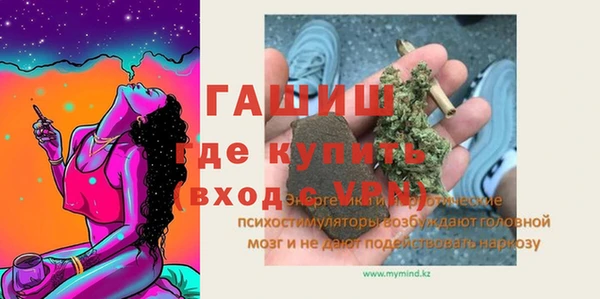 прущие грибы Аркадак