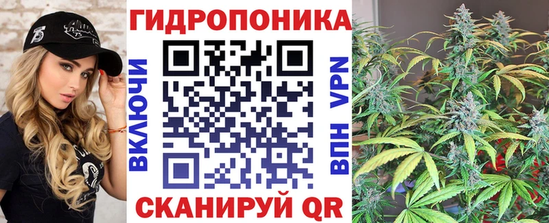 Конопля ГИДРОПОН ссылка на мегу вход Судогда